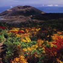 %E3%83%92%E3%82%9A%E3%82%AF%E3%83%81%E3%83%A3%E3%82%AF%E3%83%AA%E3%83%83%E3%83%92%E3%82%9A%E3%83%B3%E3%82%AF%E3%82%99