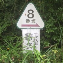 image11-e1437400432373