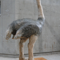 15b3077e8c28c13dbad59e32878fbfe9-224x300