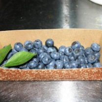 977b22abd7cdc549e83ee38144ca5ba21-300x199