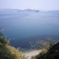 0b4be6086e50a17a54d761d87a558aa4-300x224