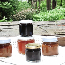 8701df9a3d78cffe38e9a123ad4e04f6-300x225