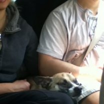 horikakwa12041-225x300