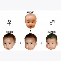 Kota-hatsumago-no-seisei-300x199