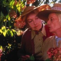 201baa541a19dbcaddacb0138a098291-300x201