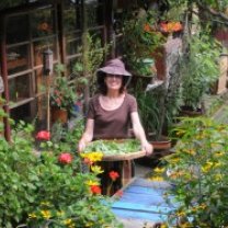 cc96ce22109aea7bb1aaeb5a6cbcba7f-300x187