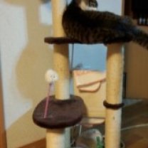 131228_160201-168x300