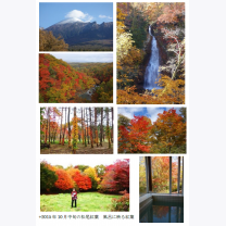 716939d96f7dc5e29c2457e50c847950