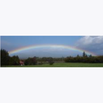 0c1a1eaa87c76980b7f0b90acceb8912