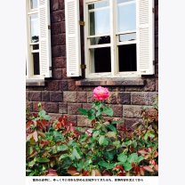 40ec5ac8fd58228028ce7f25ad3e42aa