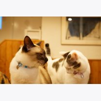 b1d0227cfc7bc84b4b2395cd3c144ff8