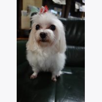 934727a355045fef5b34b4e243b8c169