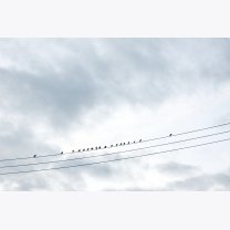 efdeee3d3e2e7adb2cae96949f6e9225