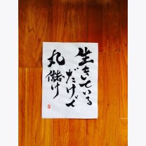 d74297c78d78cdaaa7951338747e6297