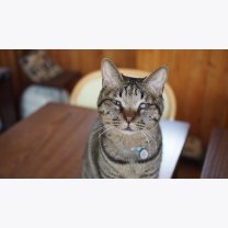 2a5c55926a3f2bb6647b1e28c3dce1c9