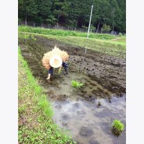 7be60cf5e9ca8b969ea2bd8e81473edb