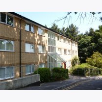 f95282caed43d3419e1942ce8f4389ca