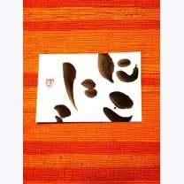 cf06bab8c8f70d975ad7ee457a41bace