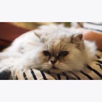 0511e16072529bde691651b0820709bd