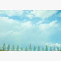 60b18e441efa337a4a30f570cd7c6972