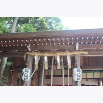 beda8e1bf188aec187a7faa8979ffd89