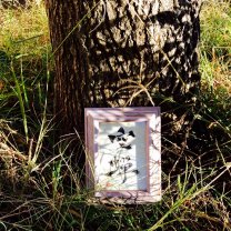 6efd74dd4854180a3e0a9376673146c6