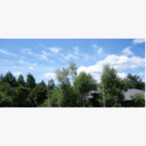 526b4e70922ecae5a4a3979505fddc8e