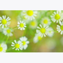 e592f56359996391500c5cd2f8413847