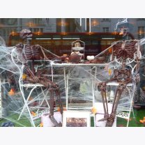 baa71b562bfda6189711fbfbc07f29fa