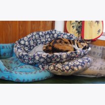 21f4153e089bc7886cab4249a93f8f8b