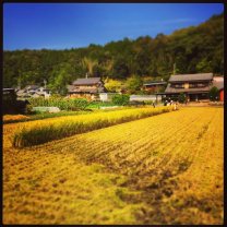 442b161a02680121f31b8d0f3582004c