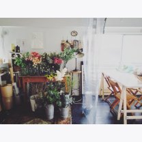 042bd4732d7c87cf1a2a8f6bc3bd903c