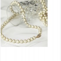 40421bff96509b707cf6344dd228090a