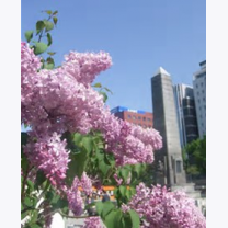 bc402c113e2f61bcb23958af8f2544b1