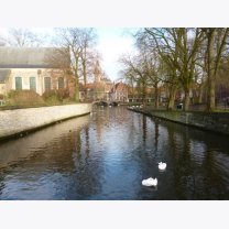 defd80edee5206a035d03235a8e4a727