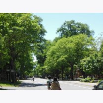 da8f55d0c96f5e840081d8bf7d12ca9a