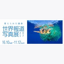 af5d7b785f2d63877585b4a41f45d206