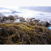 f5c753fc77c66c26ea2ef898ce4c5250