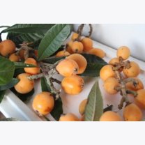 3f6ea366a2b0568715058db22deae7b9