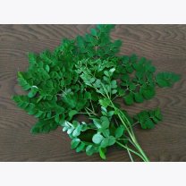 42f33a5ee44b11f8a16a76d05e9946a2