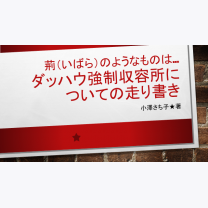 f42dae4c8d4ef082feaeea18d32b9d2a