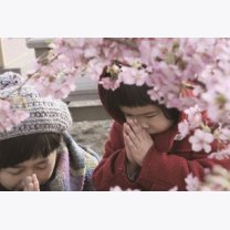 72609c95e492d44e9b998ce57a9ae2e4