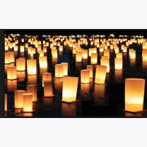 d67f82c9fb4ad40c95bee21418502967