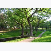 38ec89f78c0035fa919a7e5c0487a09f