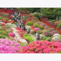 7d44812d9ba1d60e75539b4e3989f5dd