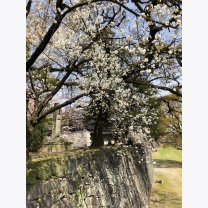 14483ec5cab129b9c06e5068ec5fbdf9