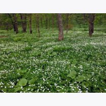 a972ac06f2915d91d556e396e3327494