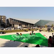 31c2df461354c3af3c07ff1b0e8755c9