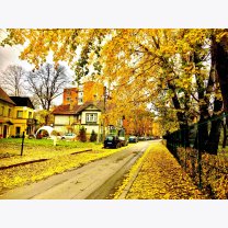 1f09bceaf22b165af04fefaf8829910a