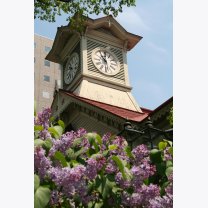 1dc9b5655b02206646c982c58b777904